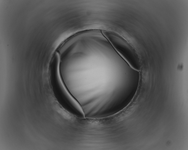 X0000092311230200710121452