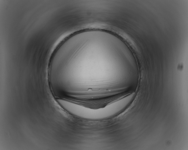 X0000092311232200710121452