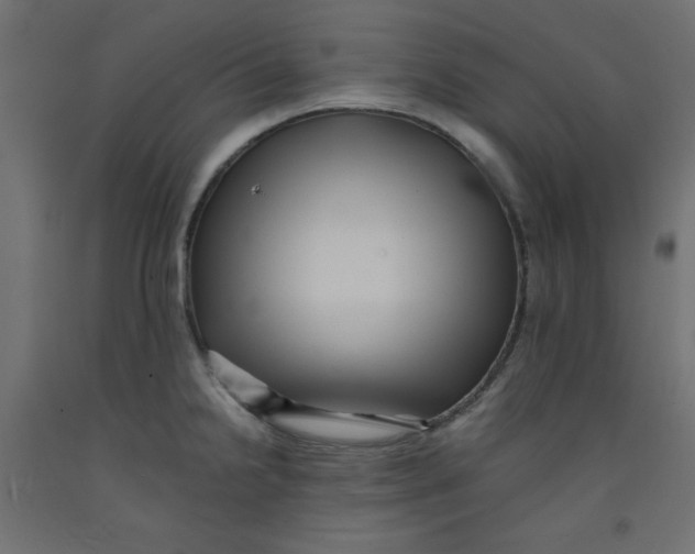 X0000092311238200710121452