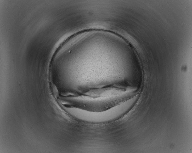 X0000092311240200710121452