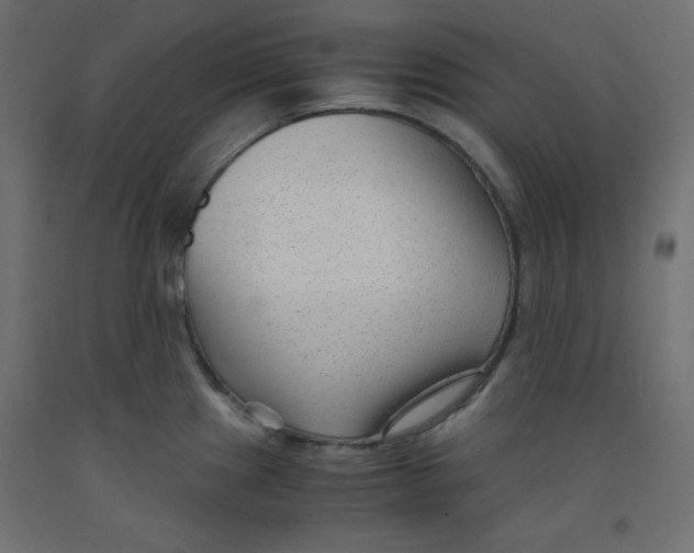 X0000092311241200710121452
