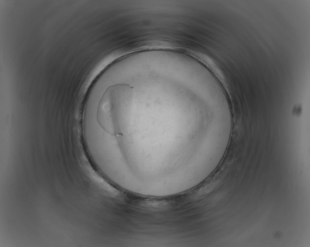 X0000092311243200710121452