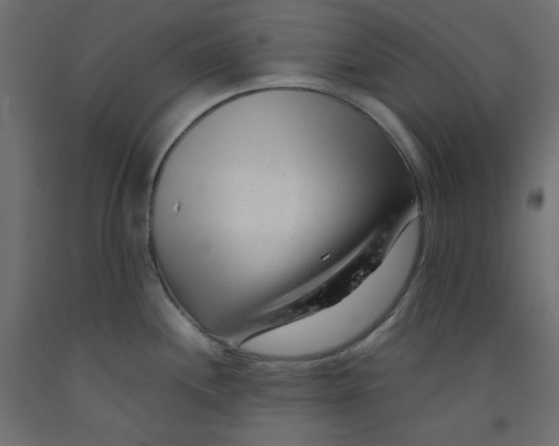 X0000092311244200710121452