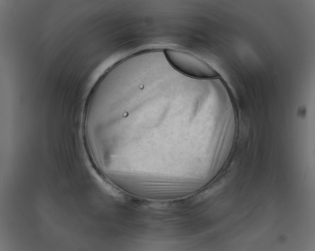 X0000092311245200710121452