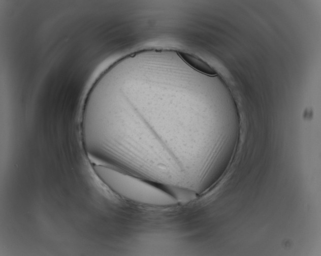 X0000092311248200710121452