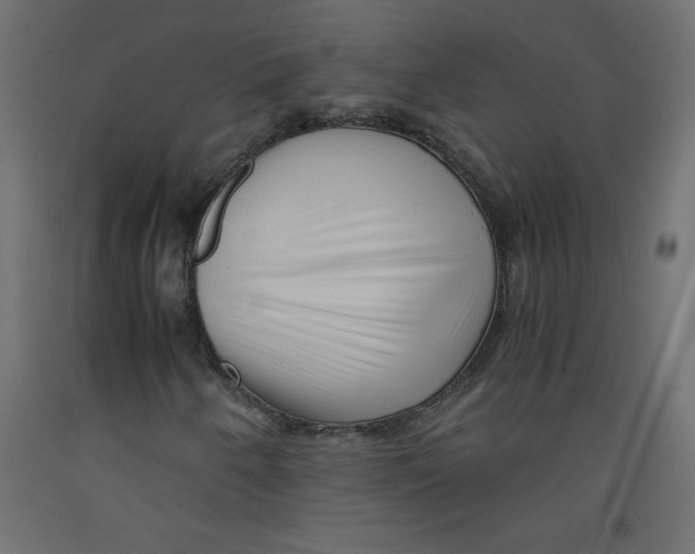 X0000092311250200710121451