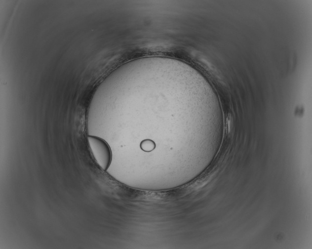 X0000092311251200710121451