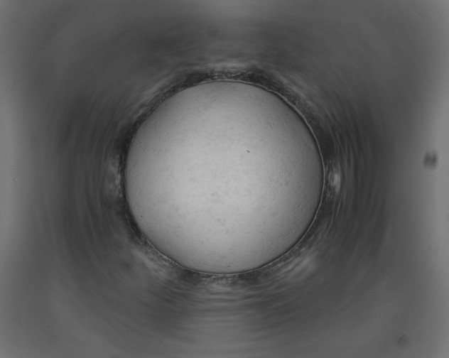 X0000092311252200710121451