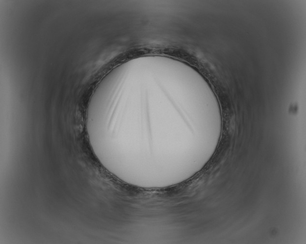 X0000092311253200710121451