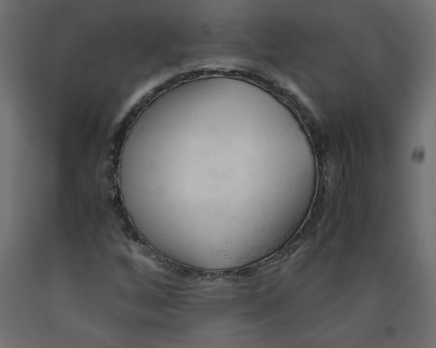 X0000092311256200710121451