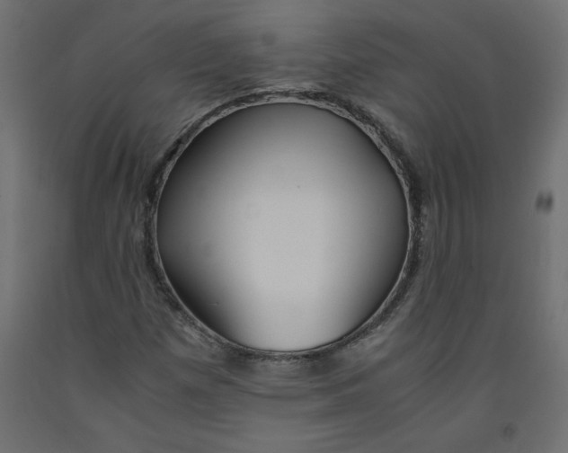X0000092311257200710121451