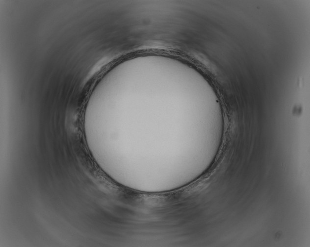 X0000092311258200710121451