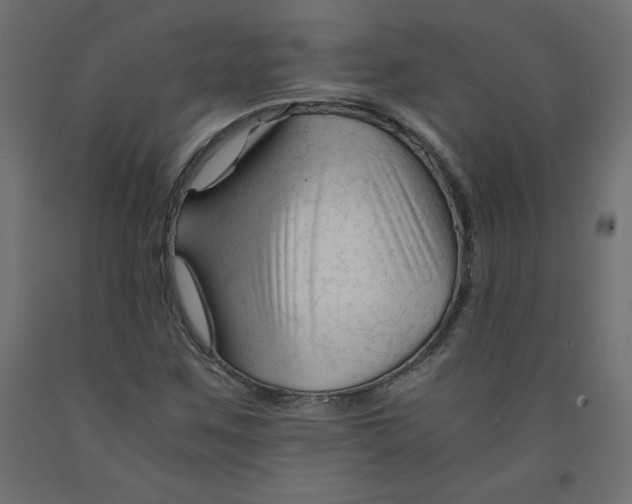 X0000092311259200710121451