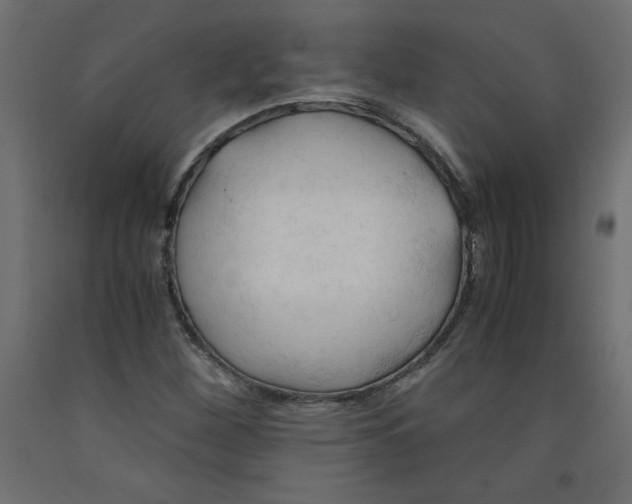 X0000092311260200710121451