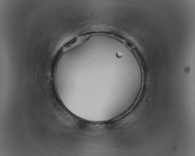 X0000092311261200710121451