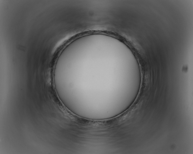 X0000092311262200710121451