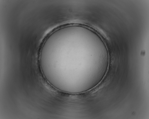 X0000092311264200710121451