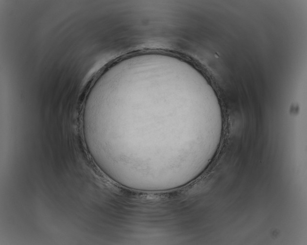 X0000092311266200710121451