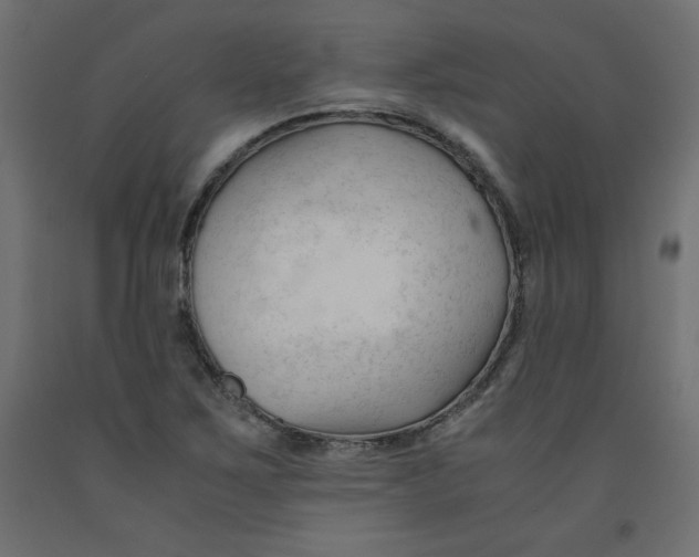 X0000092311267200710121451