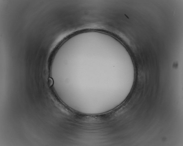 X0000092311270200710121451