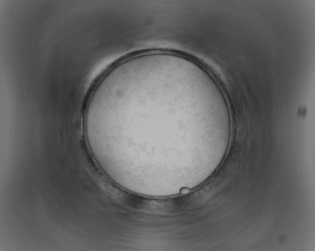 X0000092311271200710121451