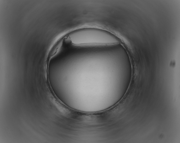 X0000092311272200710121451