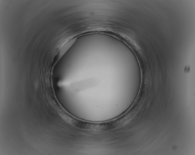 X0000092311273200710121451