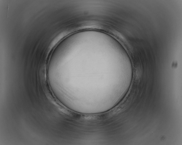 X0000092311274200710121451