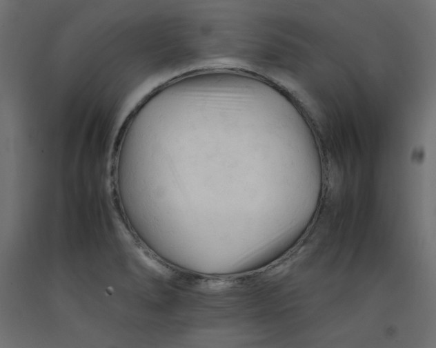 X0000092311278200710121451