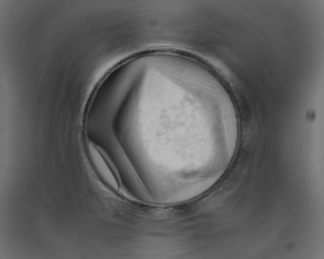 X0000092311279200710121451