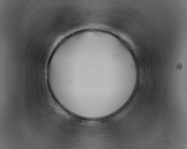 X0000092311280200710121451