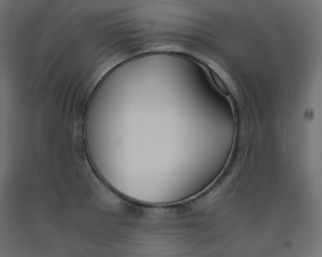 X0000092311281200710121451