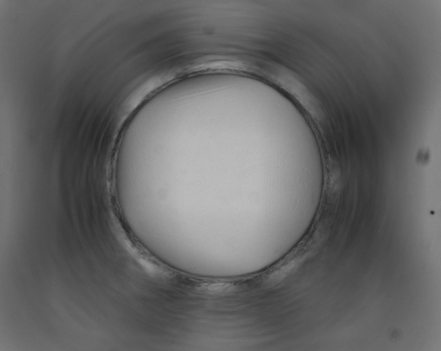 X0000092311282200710121451