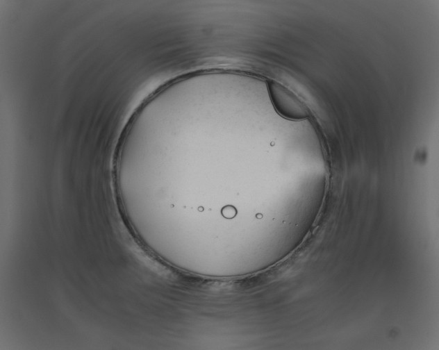 X0000092311283200710121451