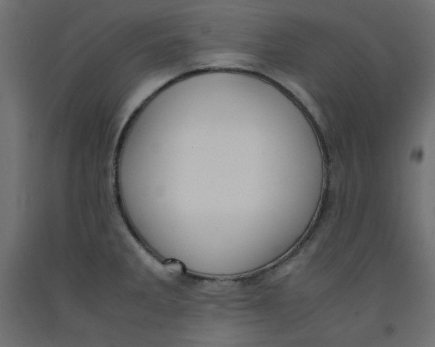 X0000092311285200710121451