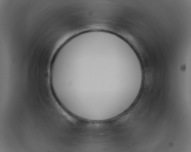 X0000092311286200710121451