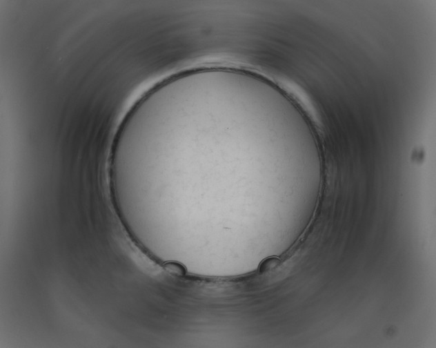 X0000092311288200710121451