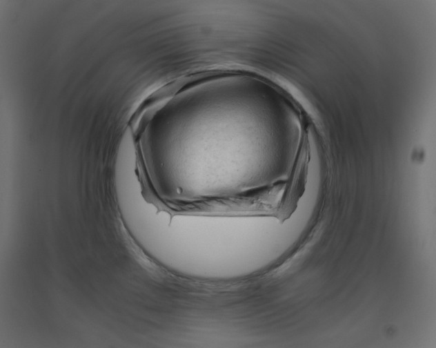 X0000092311289200710121451
