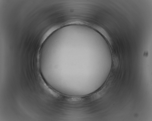 X0000092311290200710121451