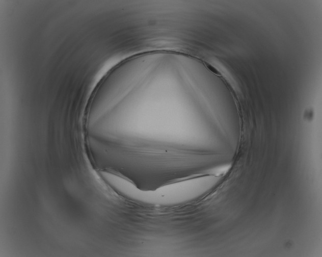 X0000092311291200710121451