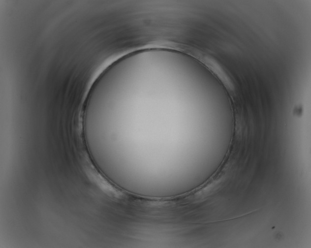 X0000092311292200710121451