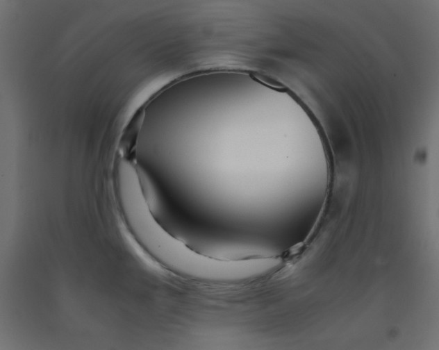 X0000092311293200710121451