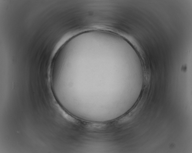 X0000092311294200710121451