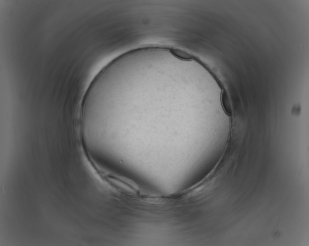 X0000092311295200710121451
