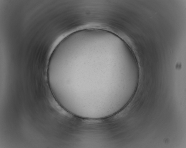 X0000092311296200710121451