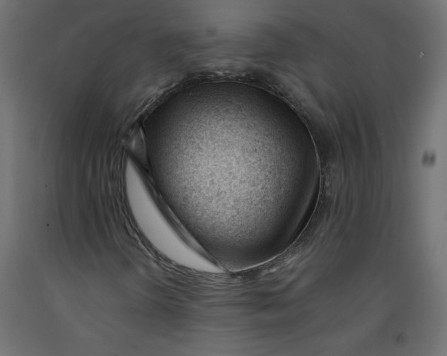 X0000092311298200710121450