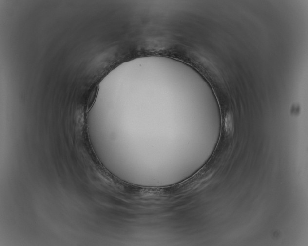 X0000092311299200710121450