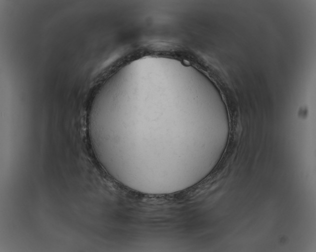 X0000092311301200710121450