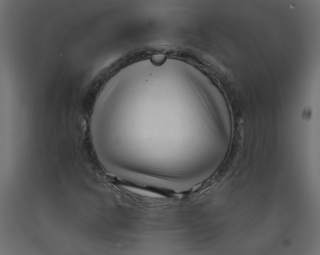 X0000092311302200710121450
