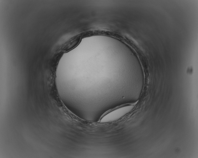 X0000092311303200710121450
